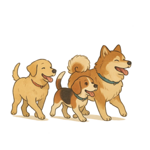 Chiens en promenade collective pour le travail de la socialisation