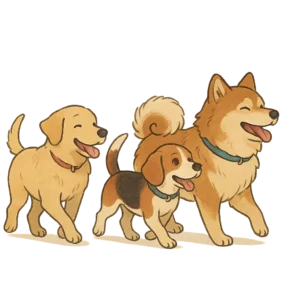 Groupe de chiens en balade éducative encadrée en extérieur